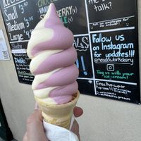 strawberry pineapple swirl  at Meadowlark Dairy  in Pleasanton