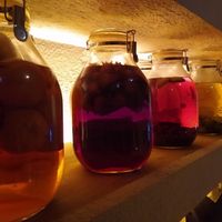 Homemade drinks at Sakae-ryouriten - 榮料理店 in Uruma