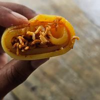  at Laphing Stall  in Dharamshala