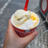 Yogurt with Stevia and summervibe at Pinguino  in Leuven