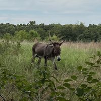 🍀   at Taste of Eden  in Decatur