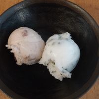 Vegan ice-cream at Le Grenier de Notre Dame in Paris