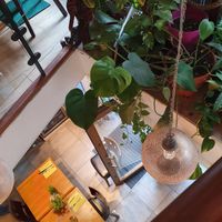 Restaurant at Le Grenier de Notre Dame in Paris