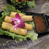 Crispy veggie rolls   at Orchid Thai in Lincoln