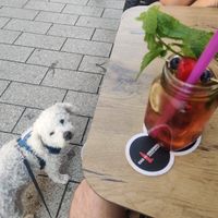  at Vegana Vietnamese Restaurant in Mannheim