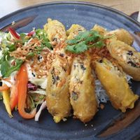 Spring Rolls with rice noodle salad at Vegana Vietnamese Restaurant in Mannheim