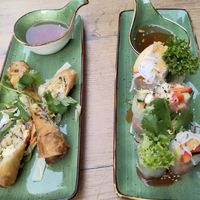 Vorspeisen: Frühlingsrollen und Sommerrollen at Vegana Vietnamese Restaurant in Mannheim