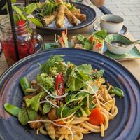 Udon Nudeln at Vegana Vietnamese Restaurant in Mannheim