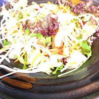 Udonbowl at Vegana Vietnamese Restaurant in Mannheim