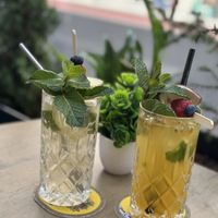   at Vegana Vietnamese Restaurant in Mannheim