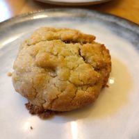 Praline cookie at Terter in Brussels
