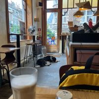 cutie   at Terter in Brussels