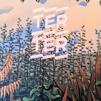 Interior Decoration at Terter in Brussels