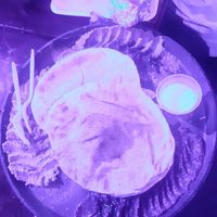 Combo 2 at Mr Bean Laden in Sao Paulo