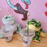 iced oat lavendar mocha and pistachio cortado (demolished) at Six Shooter Coffee in Cleveland