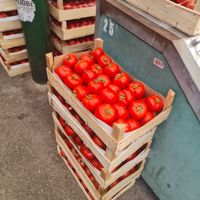 Tomatoes at Pijaca Mirijevo in Belgrade