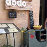   at DODO in Mallorca