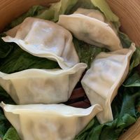 Dumplings   at Vegebowl in Paris