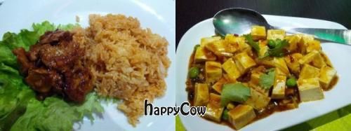 Two dishes from Vegebowl: 'meat' + whole rice, and mappo tofu (spicy tofu). at Vegebowl in Paris