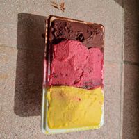 mango ice cream, berries and dark chocolate (modica black) at Marrons Glaces in Catanzaro