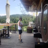 Wijnen kiezen voor de proeverij at Fontana Vin in Maribor