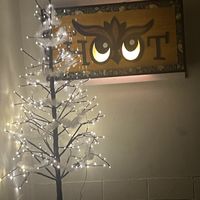   at the HOOT in Columbia