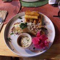 Burrito at Lewis's House in Puerto Viejo De Talamanca