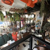 Local  at Babaluu in Budva