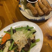 Garlic veg and fried spring rolls  at Viet Nam Ao BaBa in Hiroshima