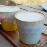 Decaf Oat Cappucino at Duincafé de Kennemerduinen in Overveen