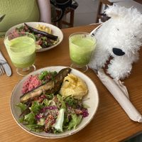   at Sol Cozinha Vegetariana in Portimao