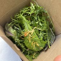 Berlin dumplings   at Ballroom 1010 in Vienna