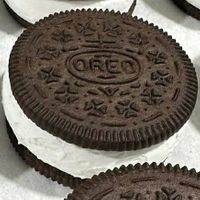 Vegan ice cream sandwich at Zarlengo's in Chicago Heights