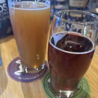 IPA’s  at Bullfrog Brewery in Williamsport