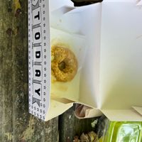   at Parlor Doughnuts in Springfield