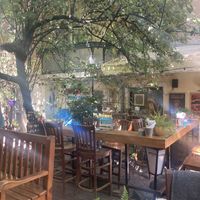   at The Wrong Bar in Sofia