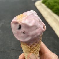 Oat Black Cherry  at Cherry On Top Ice Cream Shoppe in Algonquin