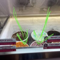 Outlet cherriy, and Carrot mango ice vegan options today  at Cherry On Top Ice Cream Shoppe in Algonquin