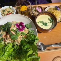 Thailand menu by Tina Barrat: pomelo salad spicy salad  cauliflower style rice pad Thai kelp noodles with zucchini   at Yu Dei 余地 in Kowloon