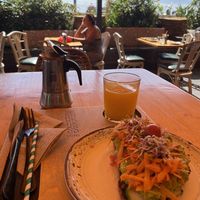 Vegan sandwich and orange juice at Madness Coffee Benidorm in Benidorm