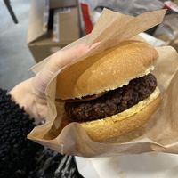   at Plant Bun in Turin