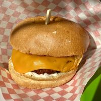   at Plant Bun in Turin