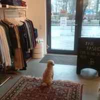 Inside at DearGoods in Berlin