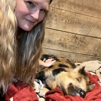   at Arthur's Acres Animal Sanctuary in Parksville