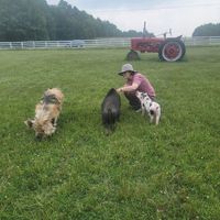  at Arthur's Acres Animal Sanctuary in Parksville