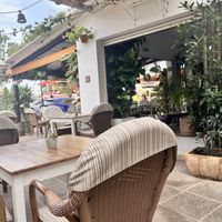   at Botanic Restobar in Mallorca