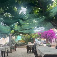   at Grill Kostas in Diakopto