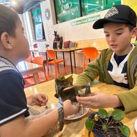  at Joyve Cafe in Auckland