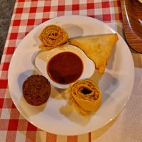 Starter Senafe at Senafe in Bologna