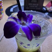 Skipper Sipper  at Walt Disney World - Trader Sam's Grog Grotto in Lake Buena Vista